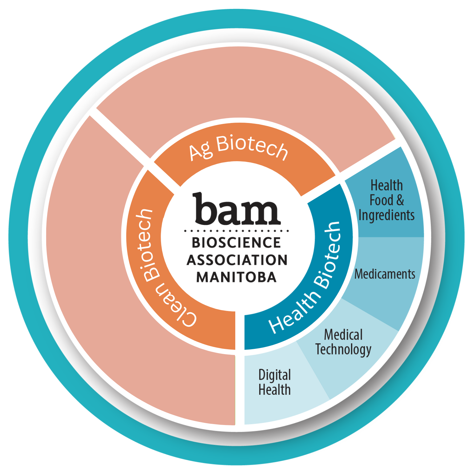 2023 BAM wheel - Health Biotech_FINAL_01.png (466 KB)